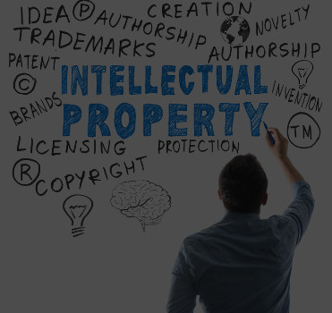 Intellectual Property Law
